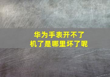 华为手表开不了机了是哪里坏了呢