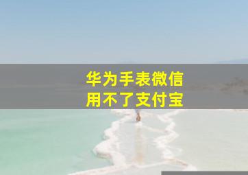 华为手表微信用不了支付宝