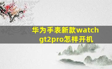 华为手表新款watch gt2pro怎样开机