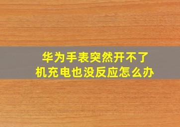 华为手表突然开不了机充电也没反应怎么办