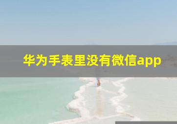 华为手表里没有微信app