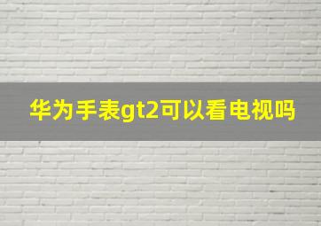 华为手表gt2可以看电视吗