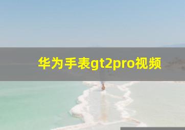 华为手表gt2pro视频