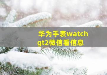 华为手表watch gt2微信看信息