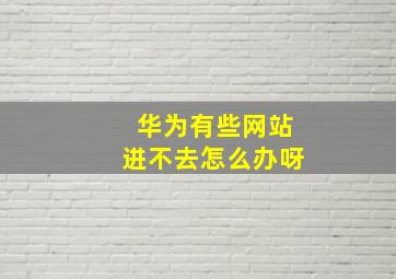 华为有些网站进不去怎么办呀