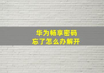 华为畅享密码忘了怎么办解开