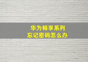 华为畅享系列忘记密码怎么办