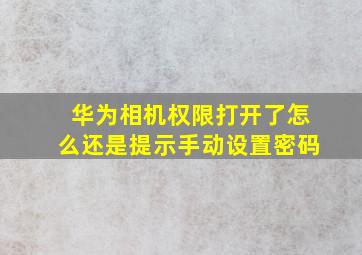 华为相机权限打开了怎么还是提示手动设置密码