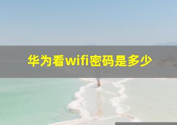 华为看wifi密码是多少