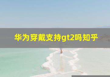 华为穿戴支持gt2吗知乎