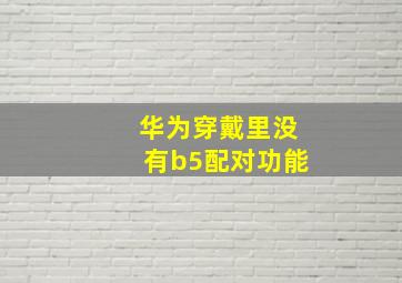 华为穿戴里没有b5配对功能