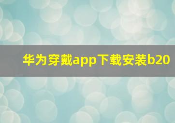 华为穿戴app下载安装b20