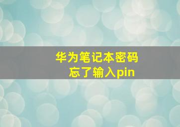 华为笔记本密码忘了输入pin