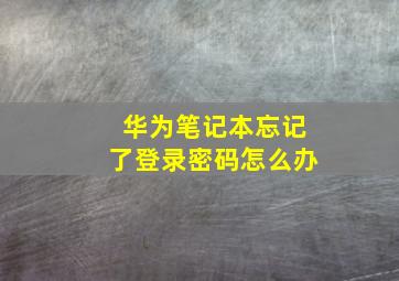 华为笔记本忘记了登录密码怎么办