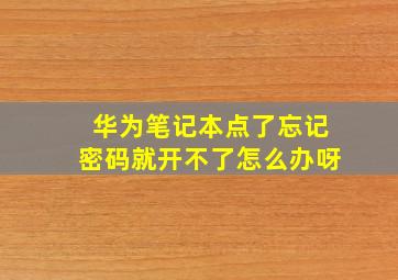 华为笔记本点了忘记密码就开不了怎么办呀