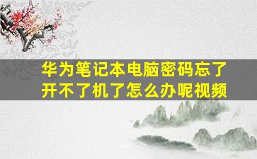 华为笔记本电脑密码忘了开不了机了怎么办呢视频