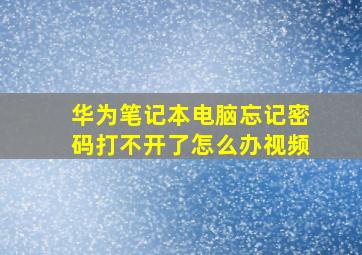 华为笔记本电脑忘记密码打不开了怎么办视频