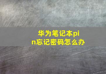 华为笔记本pin忘记密码怎么办