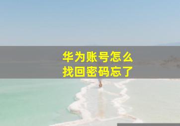 华为账号怎么找回密码忘了