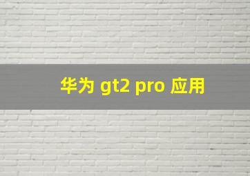 华为 gt2 pro 应用