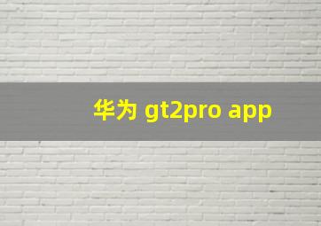 华为 gt2pro app