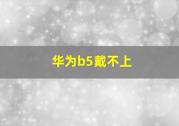 华为b5戴不上