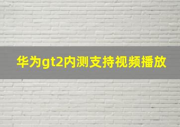 华为gt2内测支持视频播放