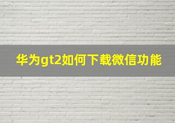 华为gt2如何下载微信功能