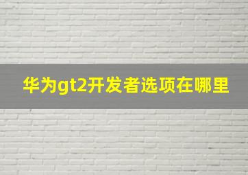 华为gt2开发者选项在哪里