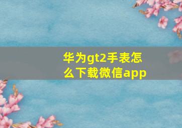 华为gt2手表怎么下载微信app