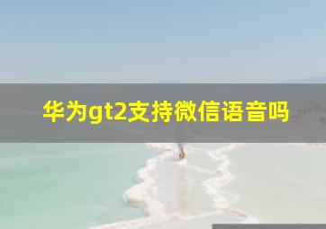 华为gt2支持微信语音吗