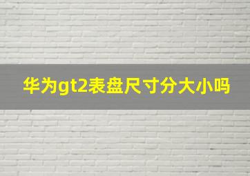 华为gt2表盘尺寸分大小吗