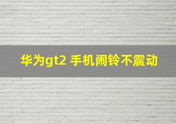 华为gt2 手机闹铃不震动