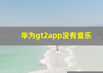 华为gt2app没有音乐