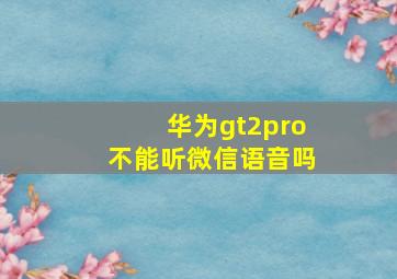 华为gt2pro不能听微信语音吗