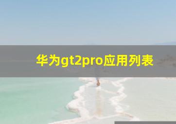 华为gt2pro应用列表