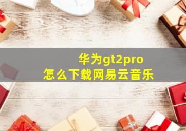 华为gt2pro怎么下载网易云音乐