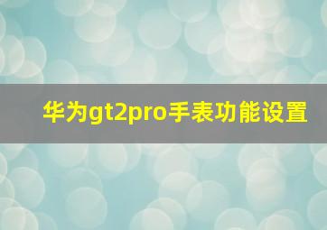 华为gt2pro手表功能设置