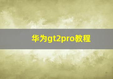 华为gt2pro教程