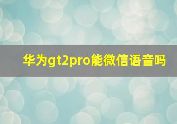 华为gt2pro能微信语音吗