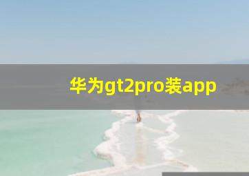 华为gt2pro装app