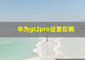 华为gt2pro设置在哪