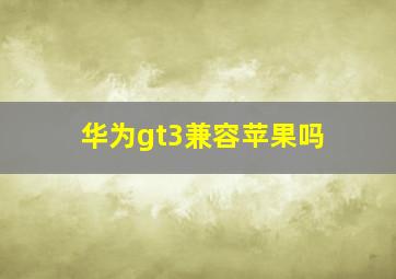 华为gt3兼容苹果吗