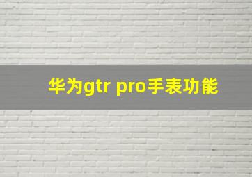 华为gtr pro手表功能