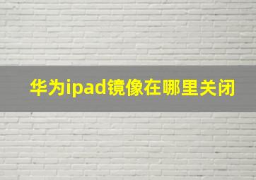 华为ipad镜像在哪里关闭