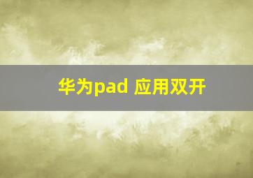 华为pad 应用双开