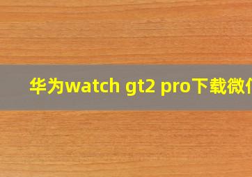 华为watch gt2 pro下载微信