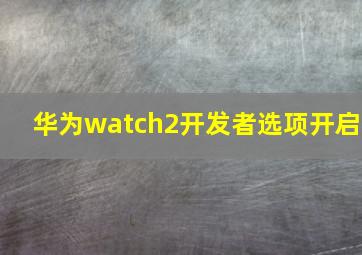 华为watch2开发者选项开启