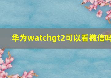 华为watchgt2可以看微信吗