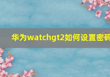 华为watchgt2如何设置密码